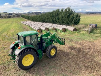 Hay Bales - Eurabbie Oats - 4x4 Rounds - cut January 2021