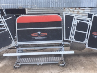 Combi Clamp Sheep Handler and 3 way draft