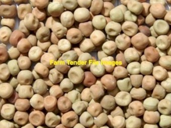 Wanted Cow Pea