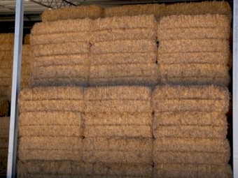 2019 Barley and Wheaten Hay 450t