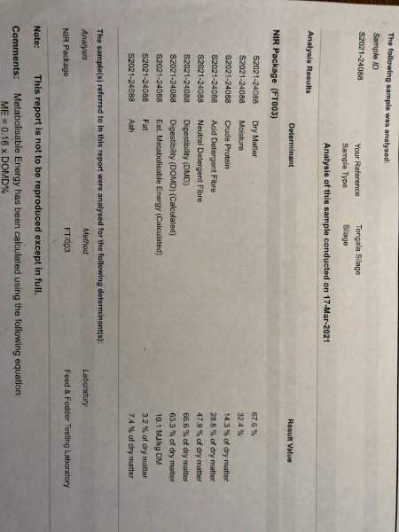 Wheat/Vetch/Rye silage