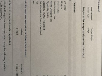 Wheat/Vetch/Rye silage