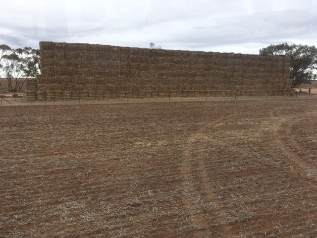 approx 25.3mt Oaten Hay  42 of 8x4x3 Bales