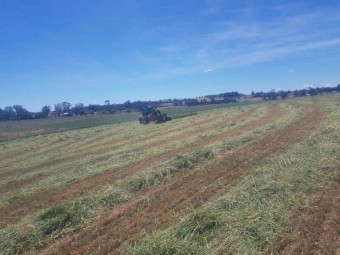 Silage and Hay