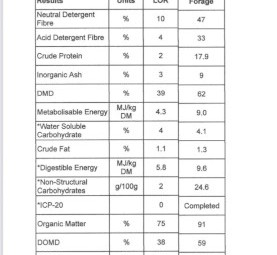 ***PRICE DROPPED*** FOR A QUICK SALE170 Horse Quality Feed Tested Lucerne 600kg+ 8x4x3 Bales