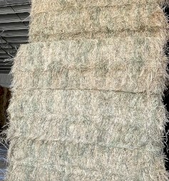 Rye/Clover Hay (Horse Hay)