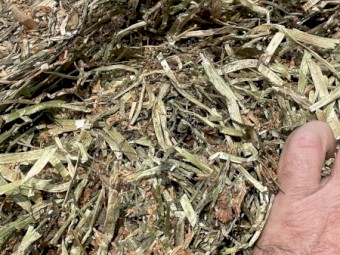 Pure Clover Hay 8x4x3 Bales