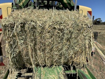Oaten Hay 8x4x3 Bales