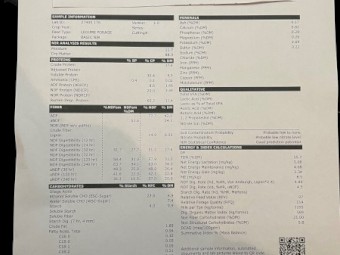 100mt Vetch Hay 8x4x3 Bales