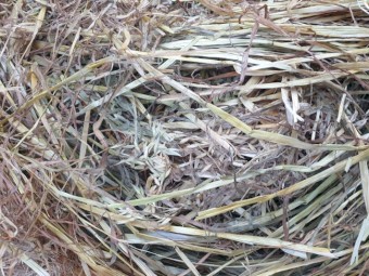 2020 Season Oaten Hay rolls