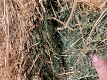 120mt Lucerne Hay 600kg 8x4x3 Bales