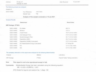 250mt Vetch Hay 500kg 8x4x3 Bales.