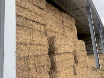 250mt Vetch Hay 500kg 8x4x3 Bales.