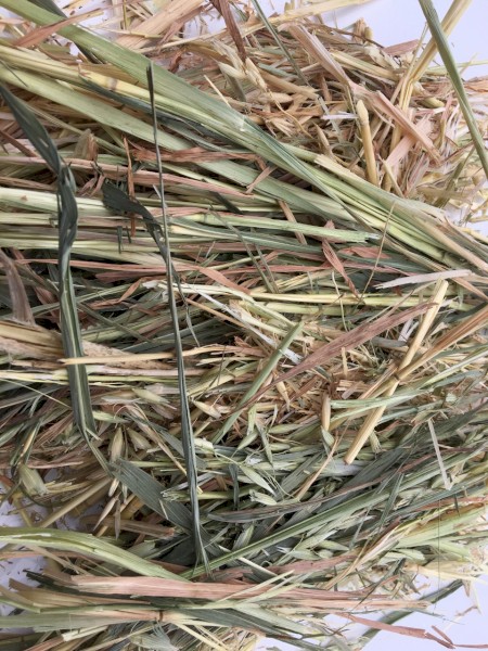 150mt Oaten Hay 500-550kg 8x4x3 Bales