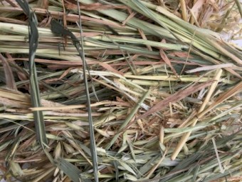 150mt Oaten Hay 500-550kg 8x4x3 Bales
