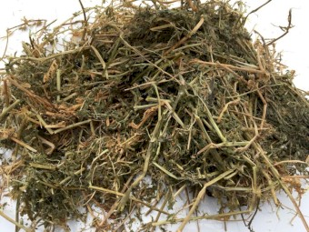 80 Bales Vetch Hay 8x4x3 