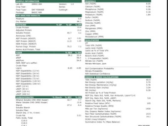 700mt Oaten Hay 550kg 8x4x3 Bales (Buyer must take all)