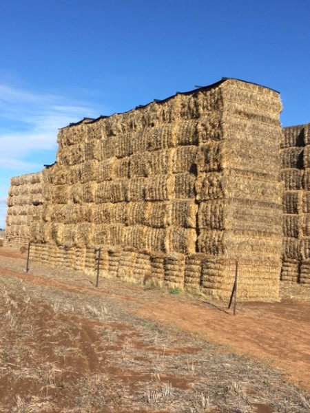 40mt Oaten Hay approx 620kg 8x4x3 Bales