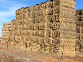 40mt Oaten Hay approx 620kg 8x4x3 Bales