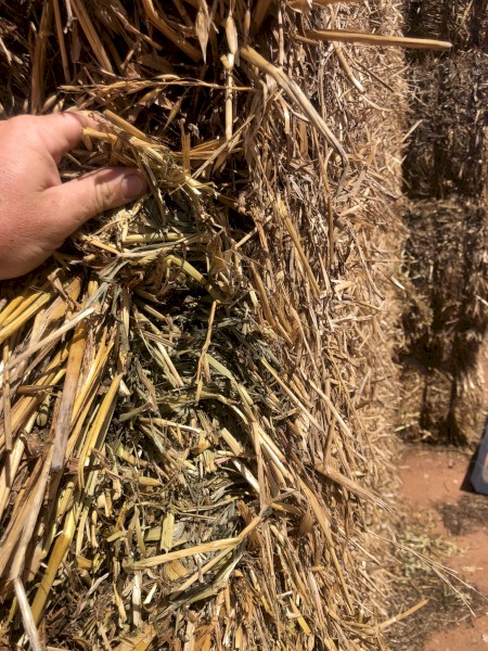 Oaten Vetch Hay 8x4x3 Bales