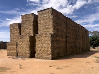 Oaten Vetch Hay 8x4x3 Bales