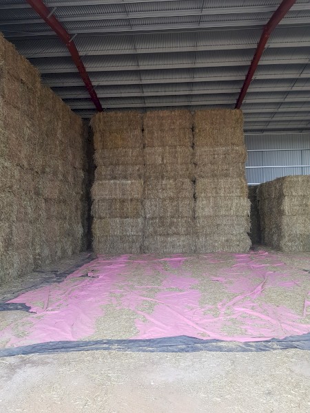 300mt Oaten Hay 8x4x3 HD Bales