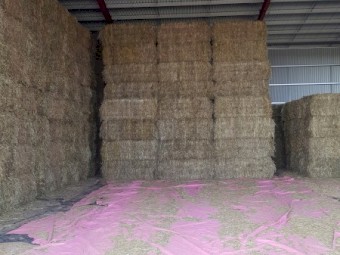 300mt Oaten Hay 8x4x3 HD Bales