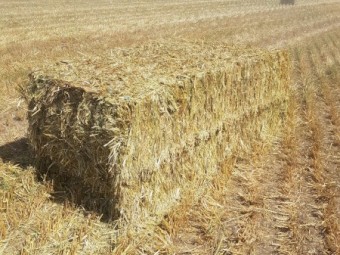 300mt Oaten Hay 8x4x3 HD Bales