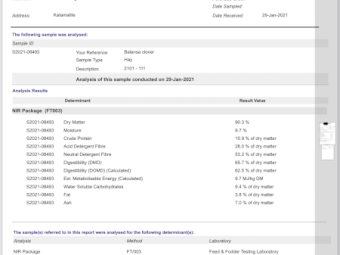 Pure Balansa Clover small square bales