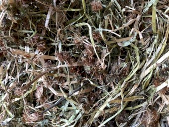 Pure Balansa Clover small square bales