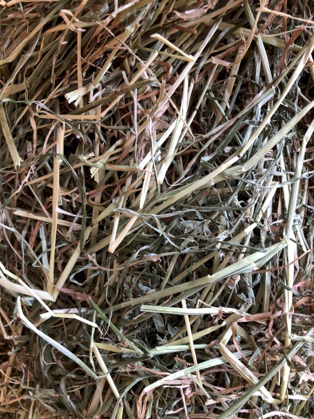 Lucerne Ryegrass Mix Small Square Bales
