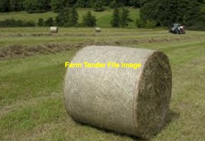 Rye Grass Round Bales