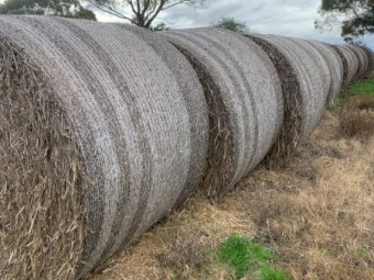 Round Bales of Barley / Wheat Hay
