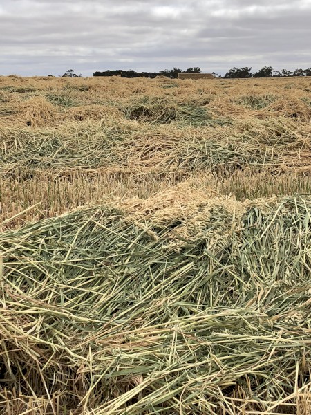 Oaten Hay - 2019 Season " Under Offer"