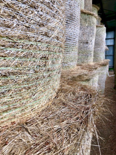 Hay round bales 4ft pasture