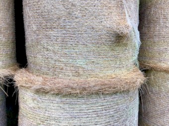 Hay round bales 4ft pasture