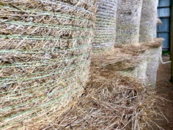 Hay round bales 4ft pasture