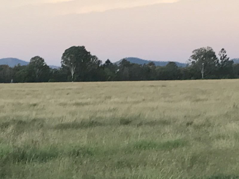 Small square  …bales weigh 20 kg of bail …and bail at 18%