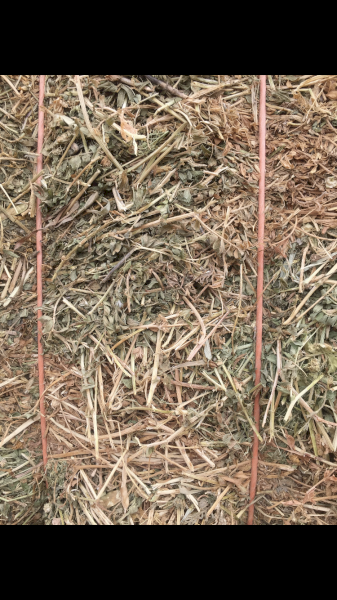 Vetch/Clover Hay A1 Season 19/20