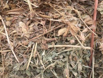 Vetch/Clover Hay A1 Season 19/20