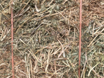 Vetch/Clover Hay A1 Season 19/20