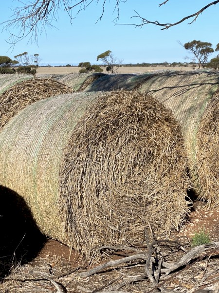 Oaten Hay- Round Bale