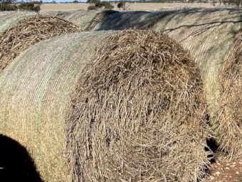 Oaten Hay- Round Bale