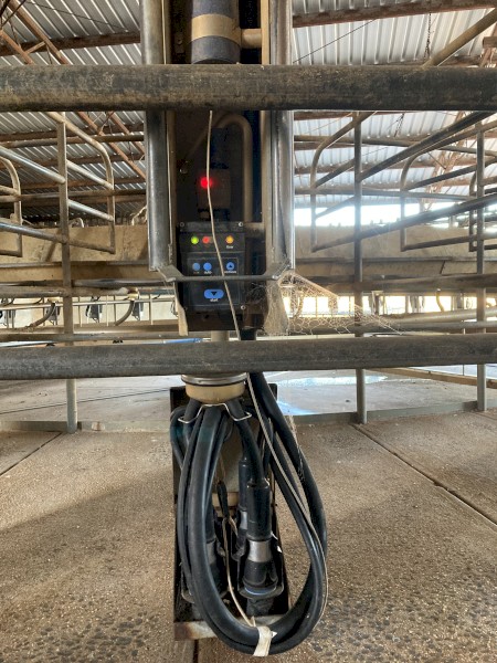 40 Stand Rotary Dairy