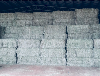 300mt Barley Hay 8x4x3 Bales