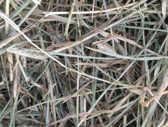 300mt Barley Hay 8x4x3 Bales