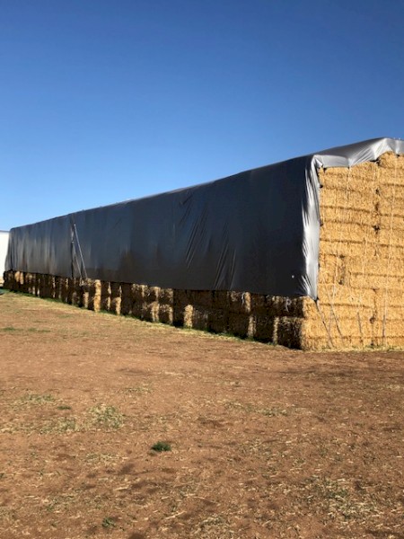 Barley Straw 500kg 8x4x3 Bales