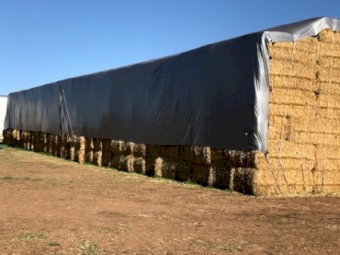 Barley Straw 500kg 8x4x3 Bales