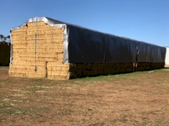 Barley Straw 500kg 8x4x3 Bales
