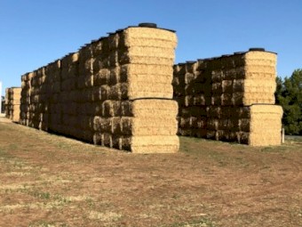 Barley Straw 500kg 8x4x3 Bales